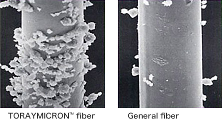 Dust particles adhering to fiber